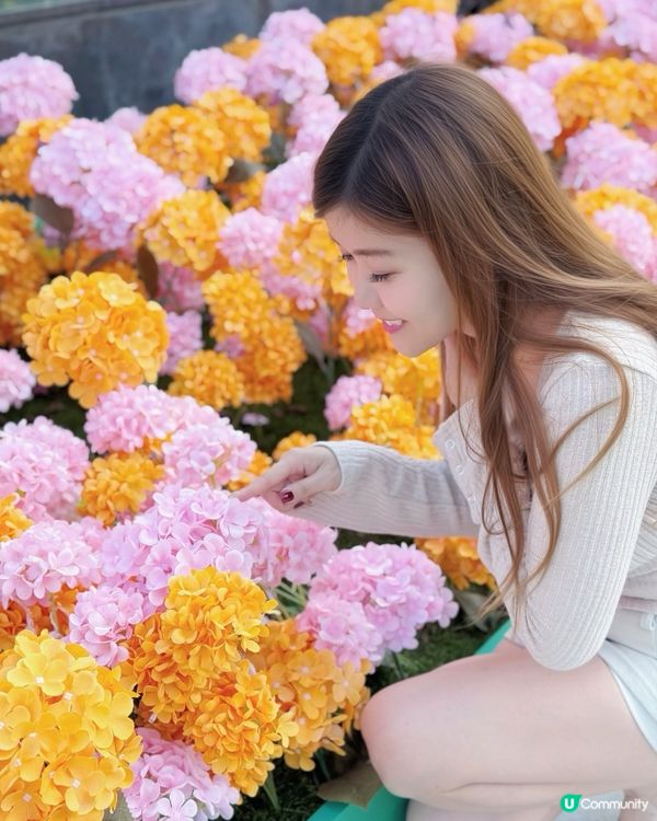 🌺✨｢花之盛宴.光影匯演｣✨🌺 真係靚到犯規!