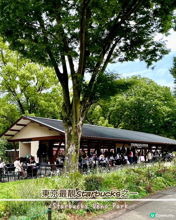 『日本』東京上野公園🌳｜必去靚景Starbucks☕️