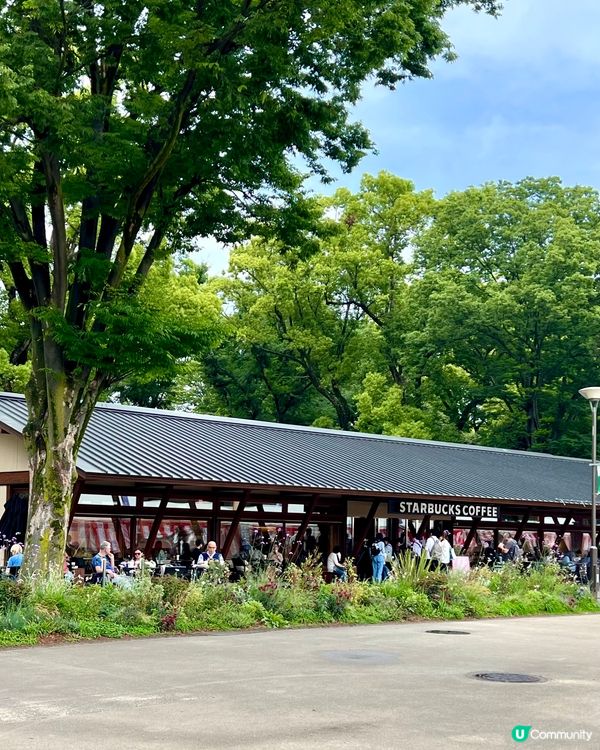 『日本』東京上野公園🌳｜必去靚景Starbucks☕️