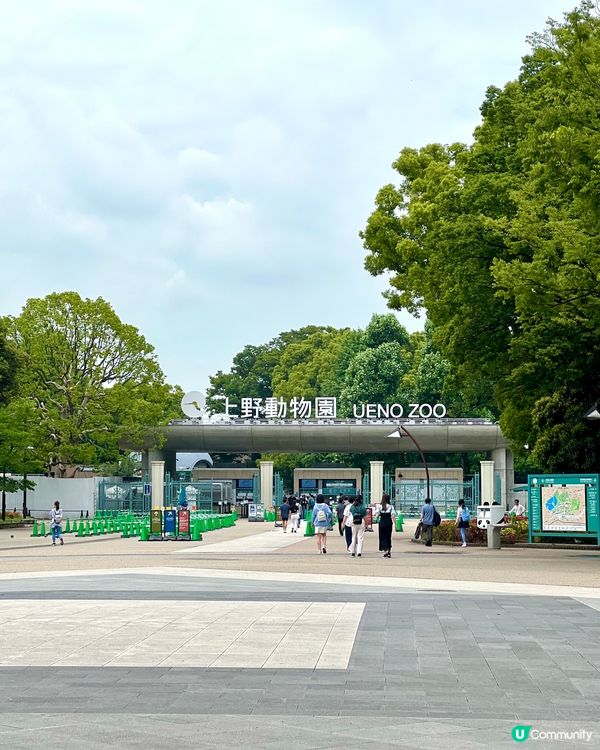 『日本』東京上野公園🌳｜必去靚景Starbucks☕️