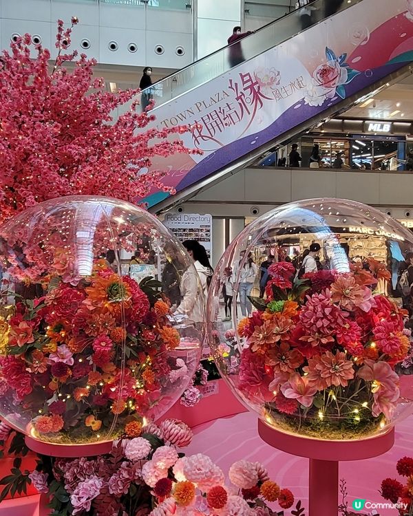 沙田新城市廣場賀年打卡位