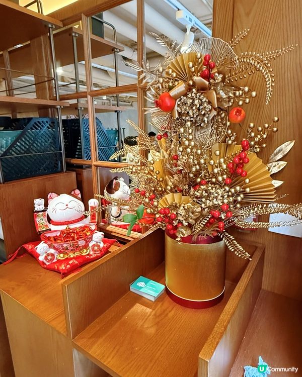 暖笠笠泰鍋🍜 warm you up!