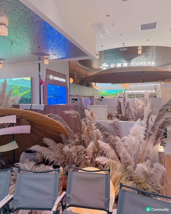 深圳南山石鍋魚火鍋又鮮又正！