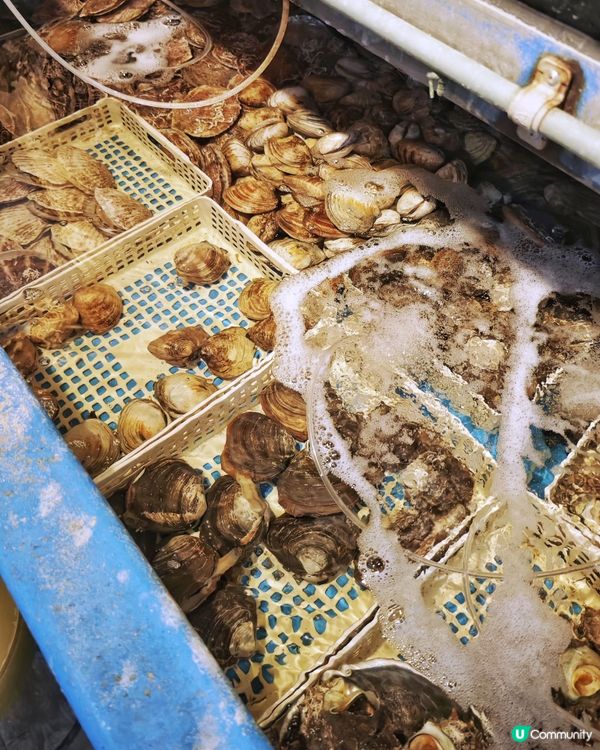 濃鮮🦀甲羅燒🔥，初嘗🐳鯨魚肉