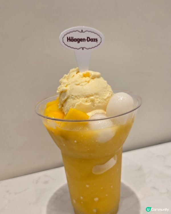 haagen-dazs 雪糕trip 🍨