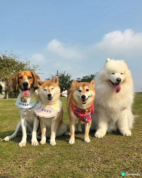 見見面、放放電, 去邊度玩都一樣咁開心. 