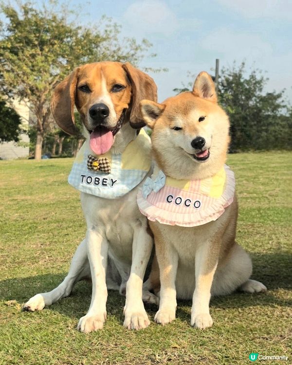 見見面、放放電, 去邊度玩都一樣咁開心. 