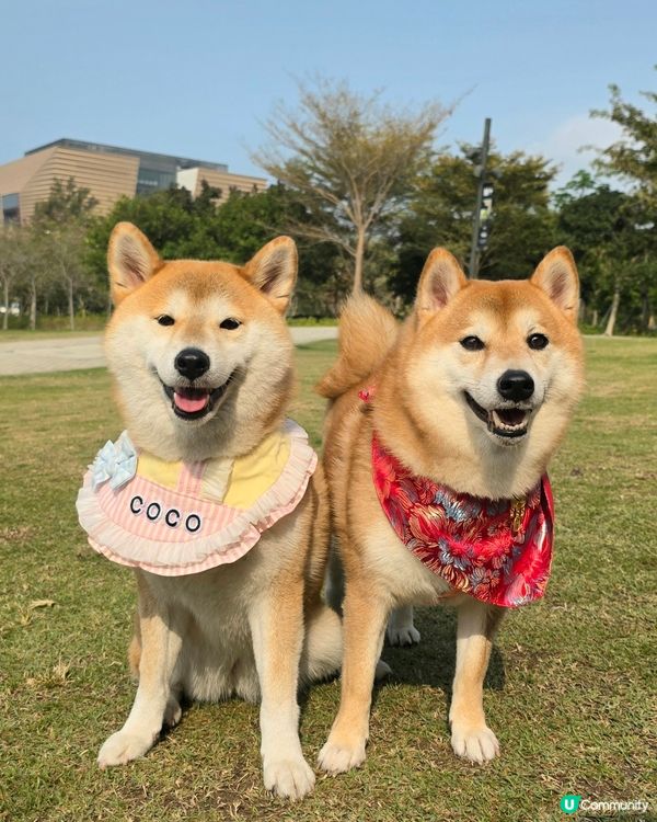 見見面、放放電, 去邊度玩都一樣咁開心. 