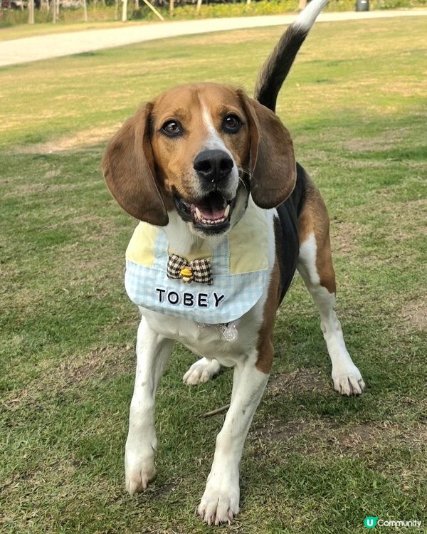 見見面、放放電, 去邊度玩都一樣咁開心. 