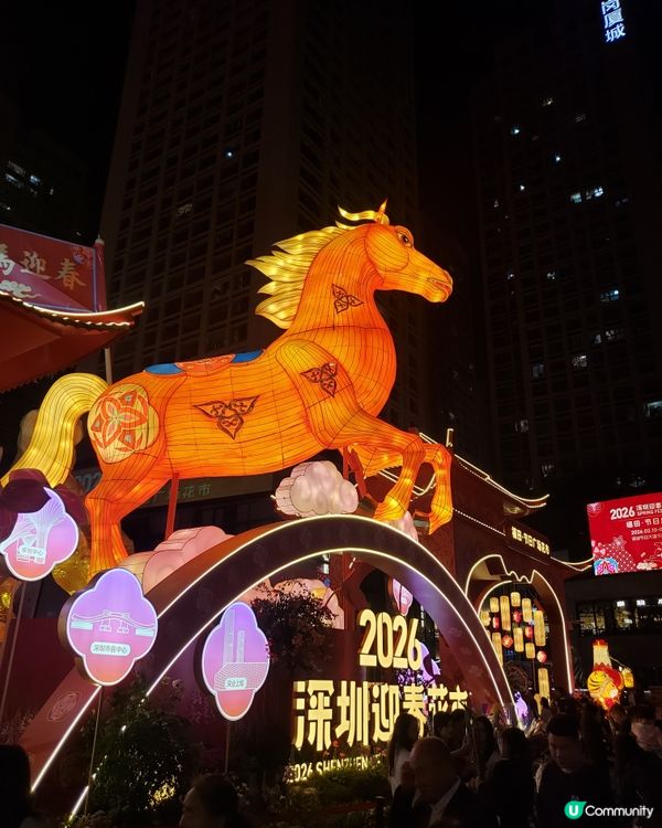 深圳福田年宵花市