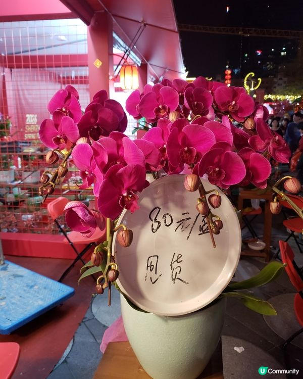 深圳福田年宵花市