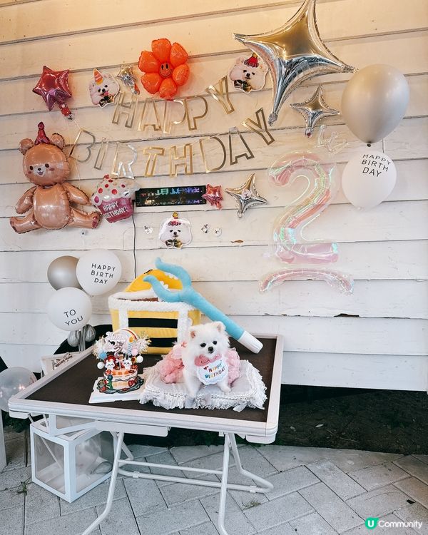 微風村！親親大自然Chill一下！🏞️😎