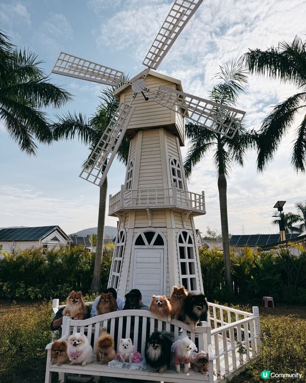 微風村！親親大自然Chill一下！🏞️😎