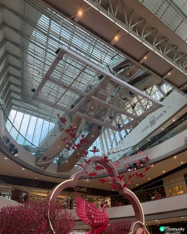 農曆新年去邊好？🕊️✨