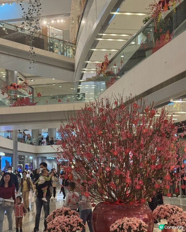 農曆新年去邊好？🕊️✨