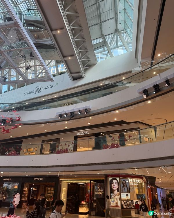 農曆新年去邊好？🕊️✨