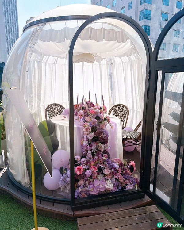 泰尚臻潮聖🌟粉紅花海唔執輸🌺