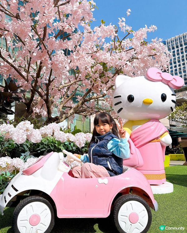 泰尚臻潮聖🌟粉紅花海唔執輸🌺