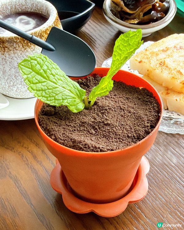 放題勁抵！點心+跳舞鴨🤤