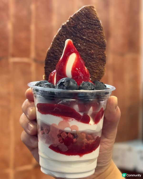 天后發現超好味乳酪雪糕🍫開心果口味有驚喜💚