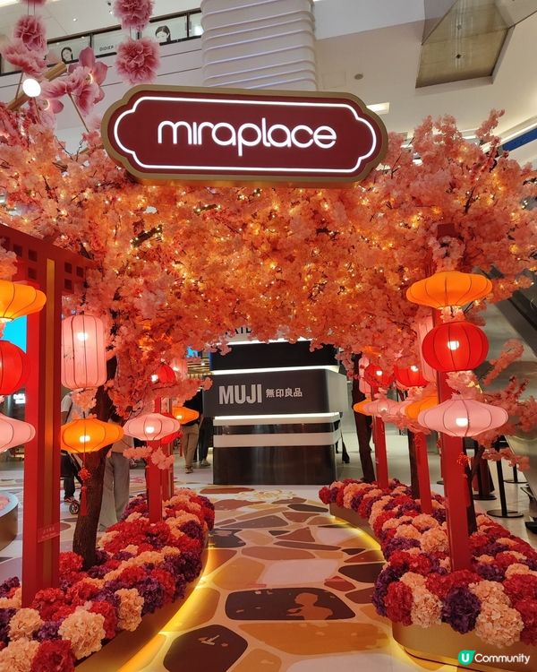 🌸 新春好去處📸桃花樹下祈好運🌸