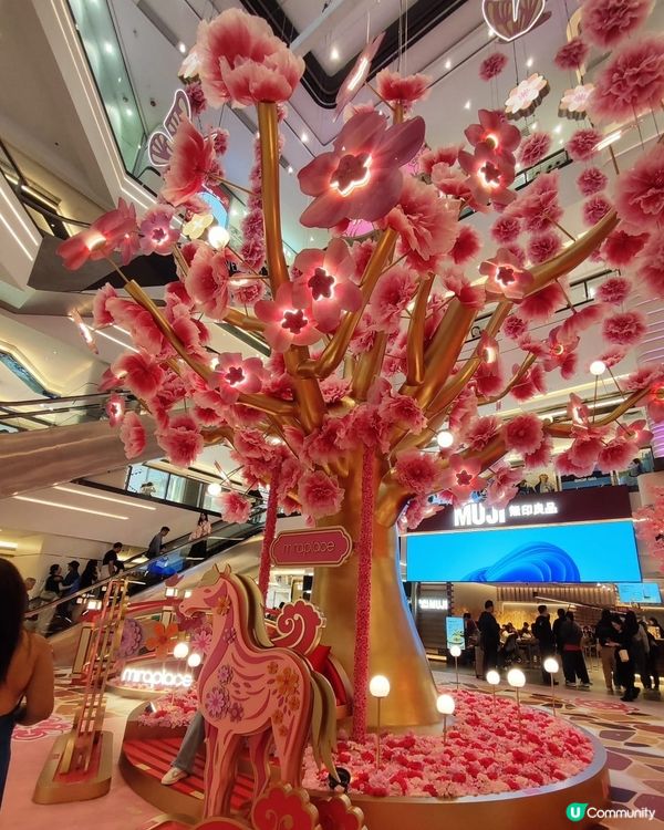 🌸 新春好去處📸桃花樹下祈好運🌸