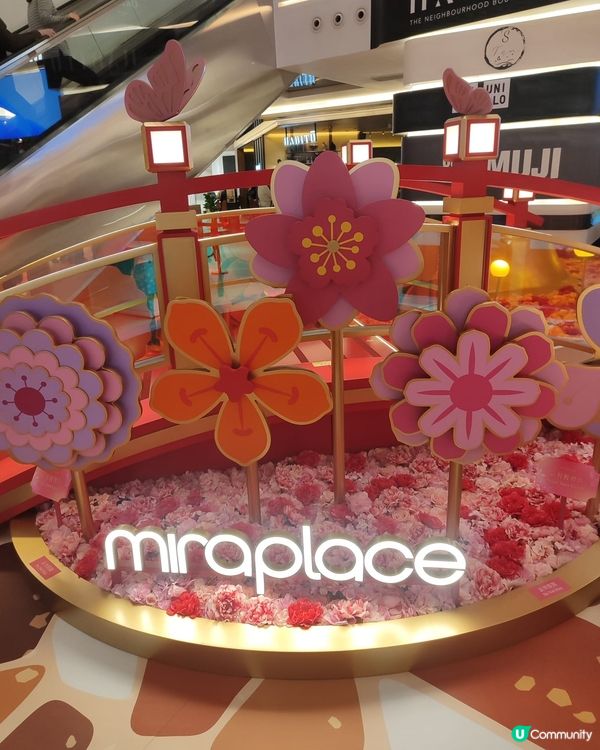 🌸 新春好去處📸桃花樹下祈好運🌸