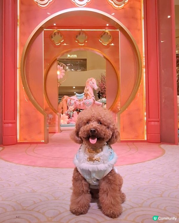 駿馬現太古 💖🐴