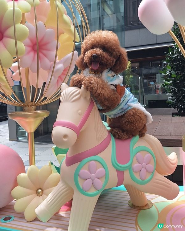 駿馬現太古 💖🐴