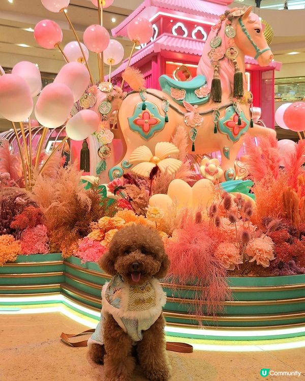 駿馬現太古 💖🐴