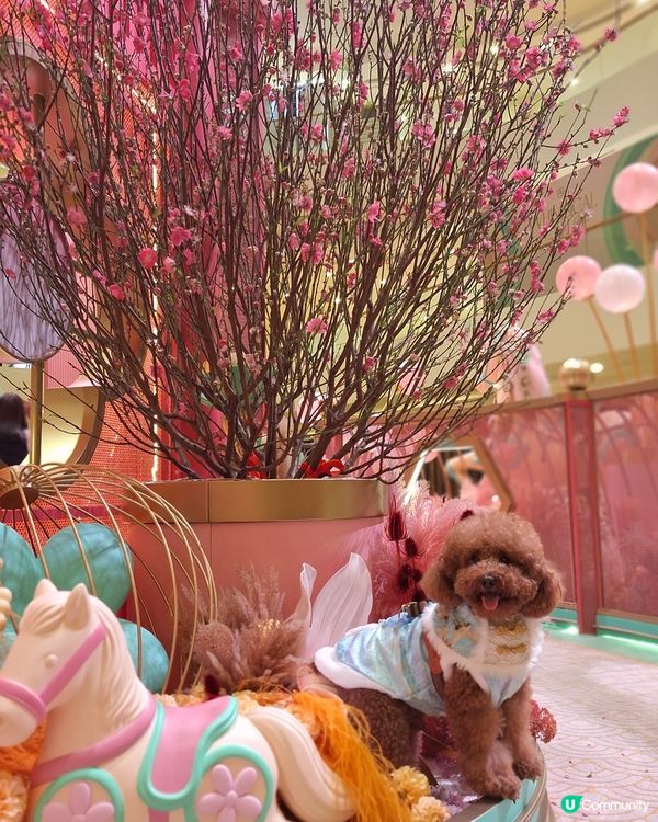 駿馬現太古 💖🐴