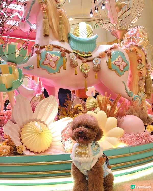 駿馬現太古 💖🐴