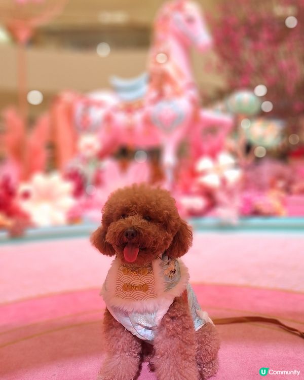 駿馬現太古 💖🐴