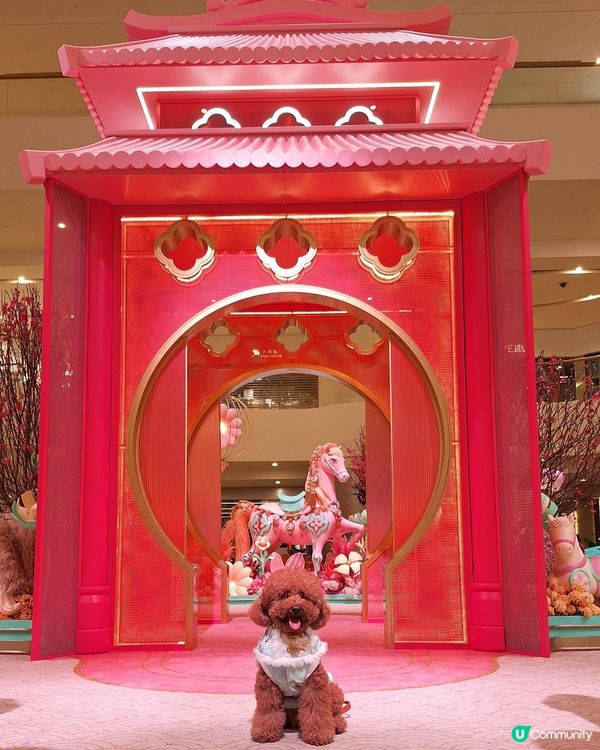 駿馬現太古 💖🐴