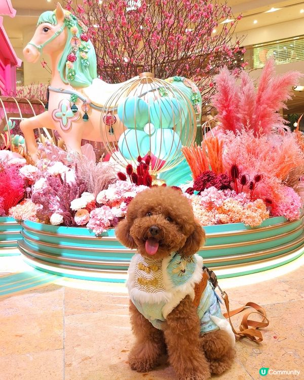 駿馬現太古 💖🐴