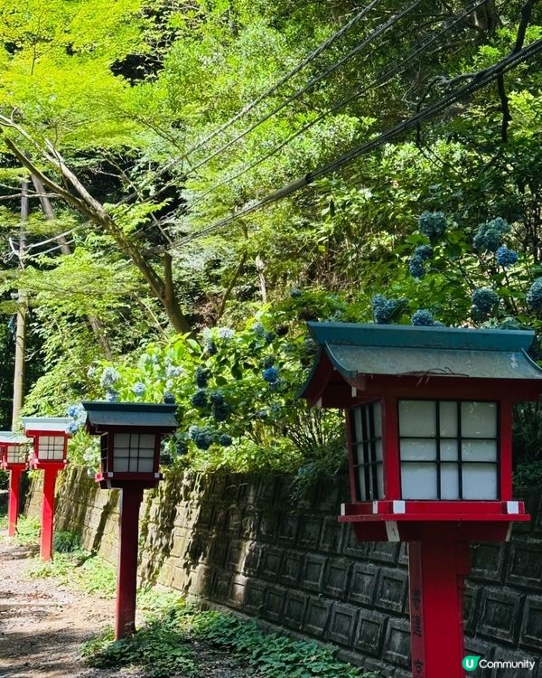 高尾山：東京市內3小時逃離記 🏞️
