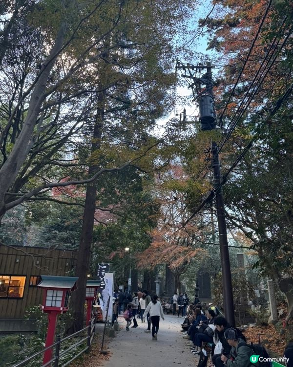 高尾山：東京市內3小時逃離記 🏞️