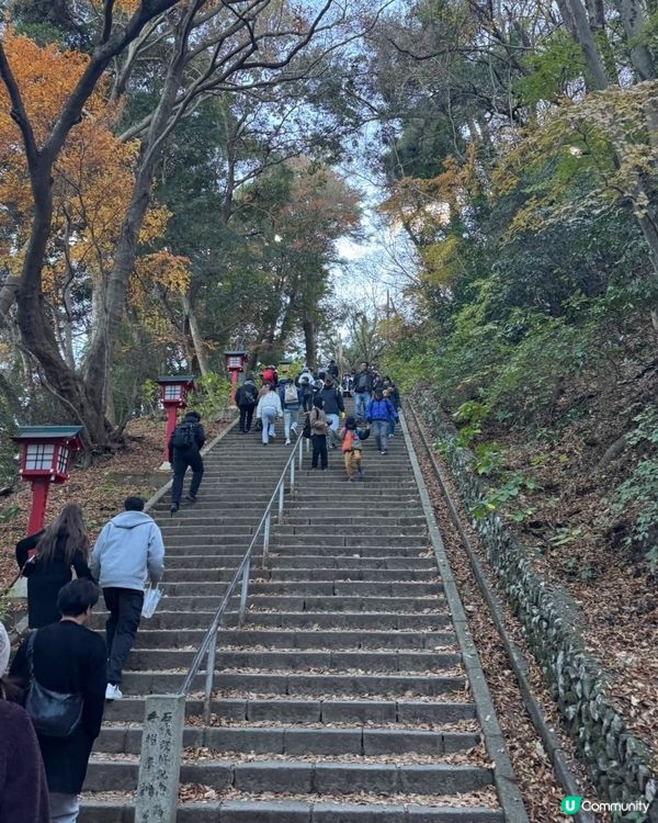 高尾山：東京市內3小時逃離記 🏞️