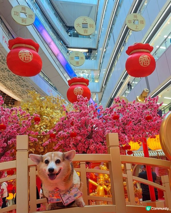 💰✨黃金屋勁吸睛！吉祥馬年開運📸