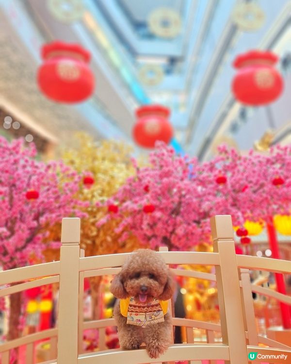 💰✨黃金屋勁吸睛！吉祥馬年開運📸