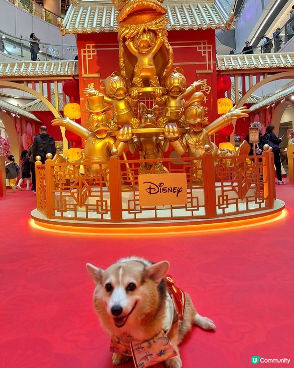 💰✨黃金屋勁吸睛！吉祥馬年開運📸