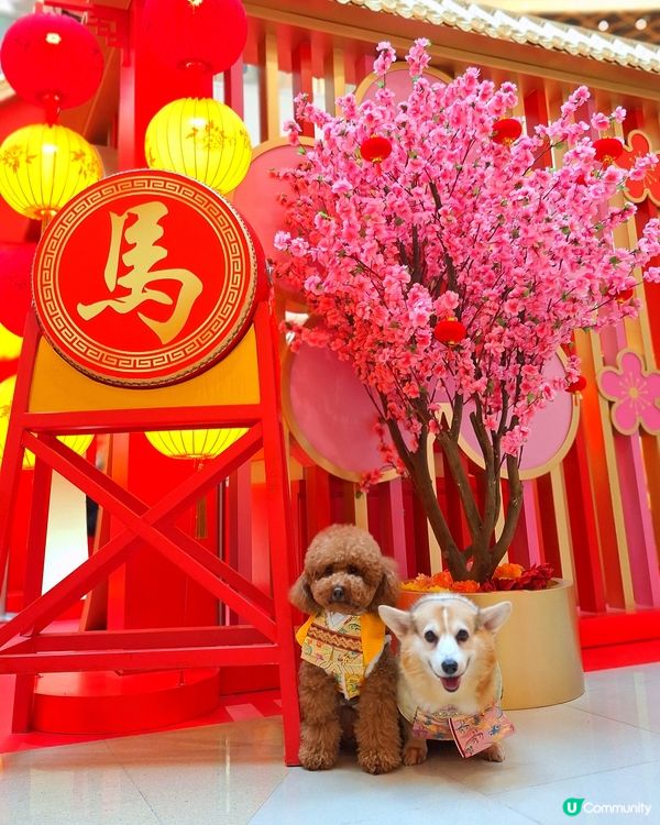 💰✨黃金屋勁吸睛！吉祥馬年開運📸