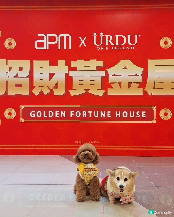 💰✨黃金屋勁吸睛！吉祥馬年開運📸