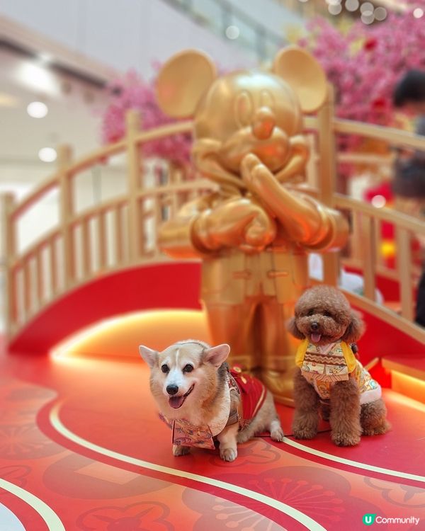 💰✨黃金屋勁吸睛！吉祥馬年開運📸