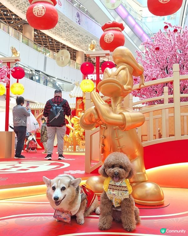 💰✨黃金屋勁吸睛！吉祥馬年開運📸