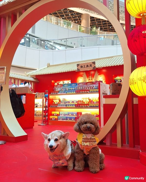 💰✨黃金屋勁吸睛！吉祥馬年開運📸