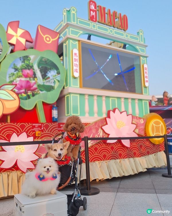 啟德體育園好運嚟啦！🤩💸