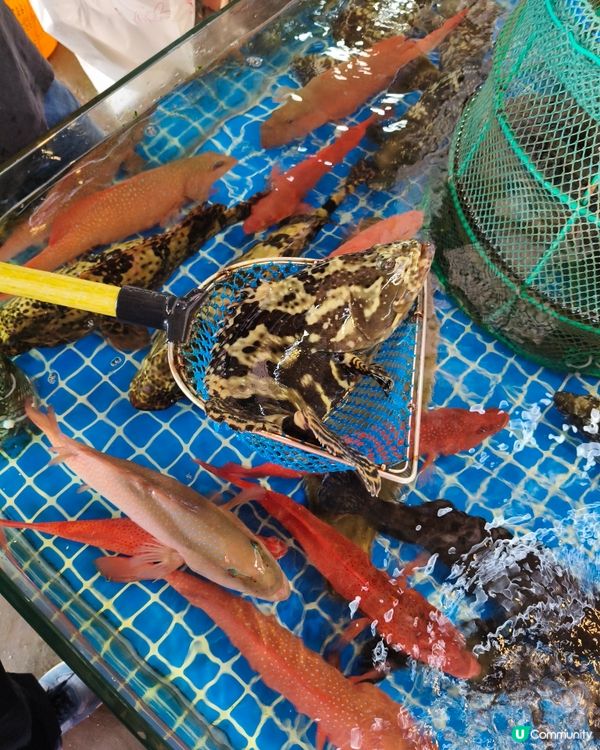 柑普茶香，煙花璀璨，一天之內的圓滿