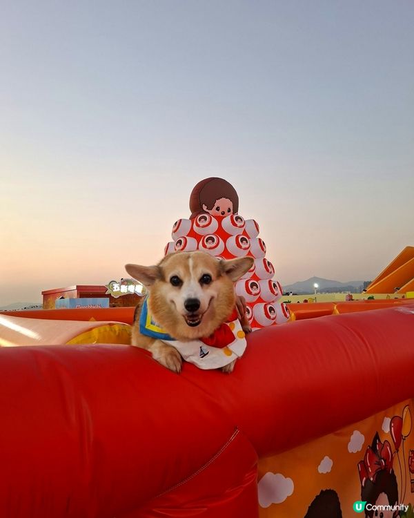 維港新年🥳勁好玩！🐶🥰