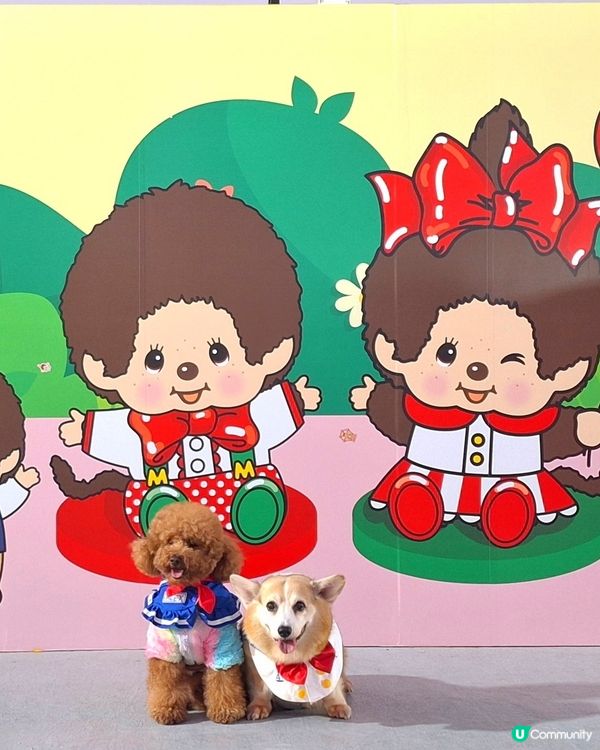 維港新年🥳勁好玩！🐶🥰